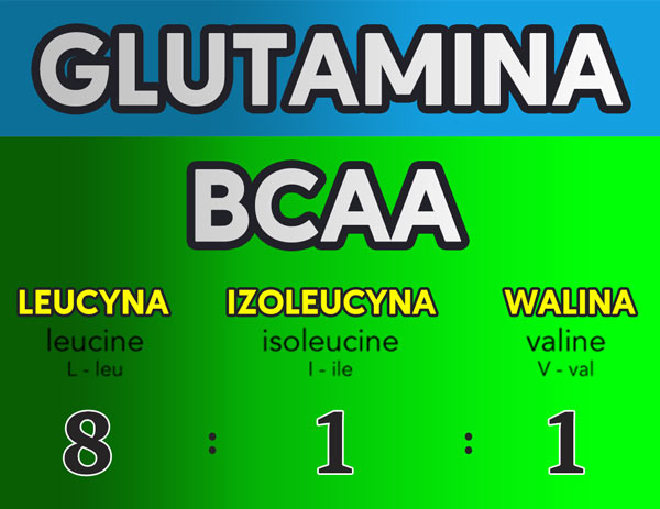 BCAA i glutamina
