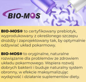 biomos-baner-galeria