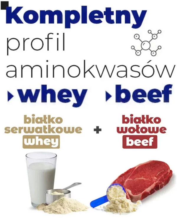 profil-aminokwasów-amix-reco-pro-protein