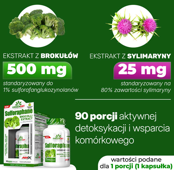 skladniki-sulp-baner