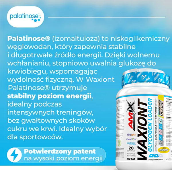 węglowodany-palatynoza-waxiont