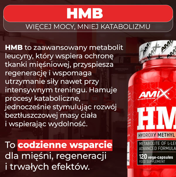 HMB-baner-info