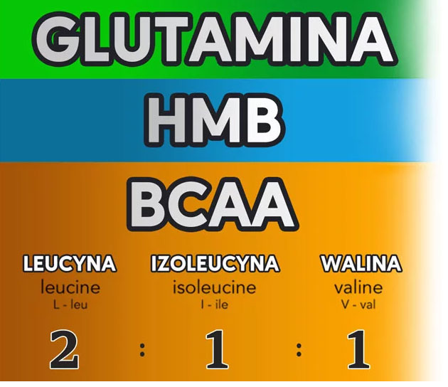 anabolic-masster-dodatek-aminokwasów