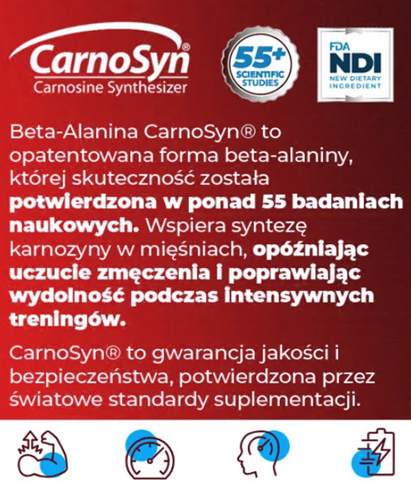 białko-z-beta-alaniną-amix-monster-beef