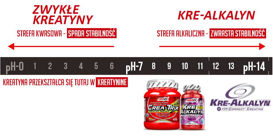 kreatyna kre-alkalyn PH