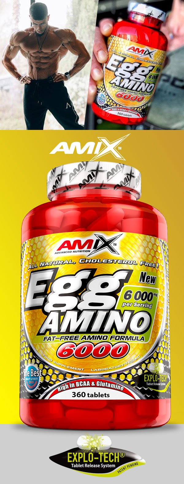 egg-amino-260-baner
