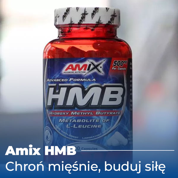 hmb-baner-2