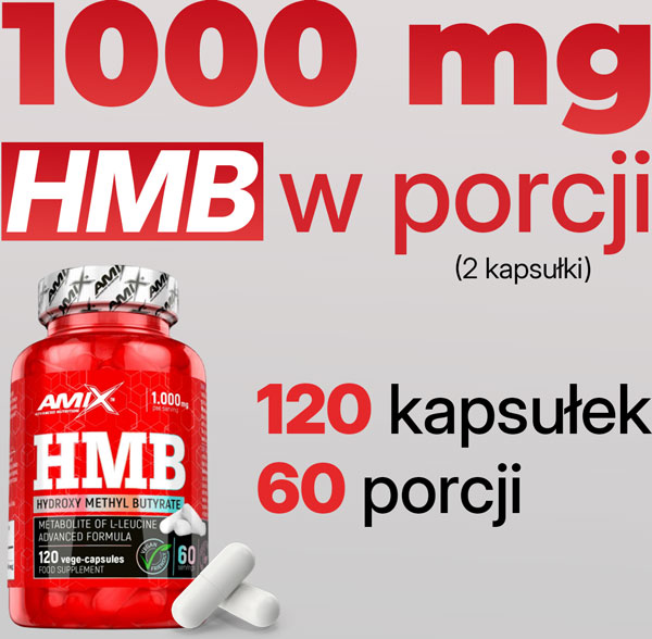 hmb-proporcje-baner