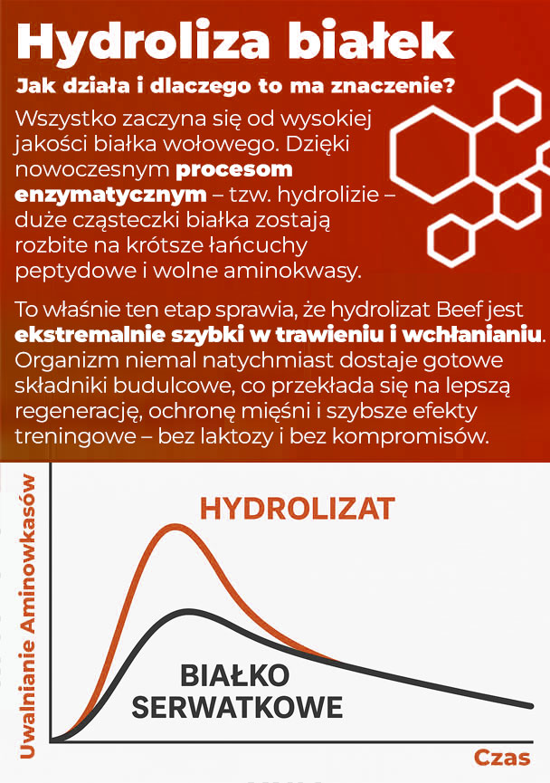 jak-działa-hydrolizat-wołowy-beef