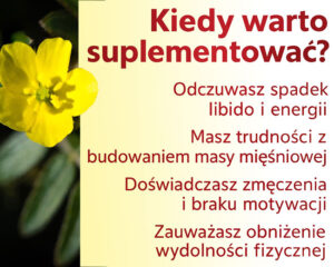 kiedy-warto-stosować-tribulus