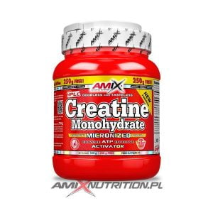 creatine monohydrate 750g amix