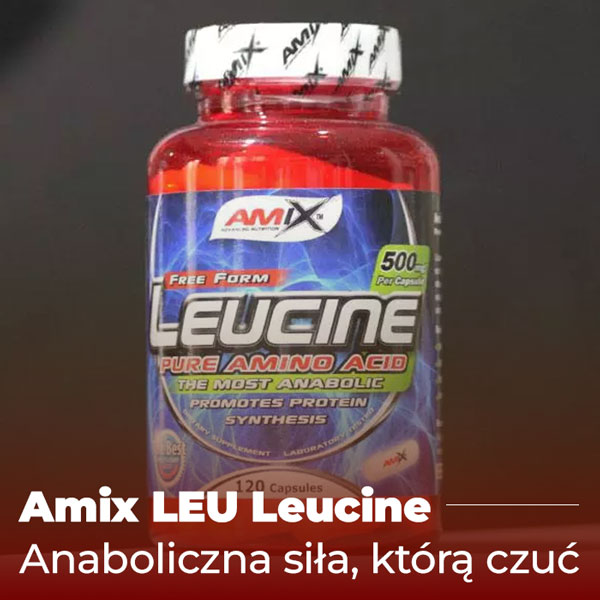 leu-leucyna-baner-2