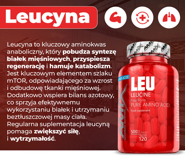 leu-leucyna-baner-info