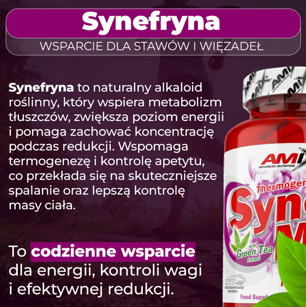 synemax-baner-info