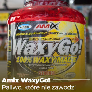 waxygo-baner-2