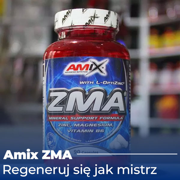 zma-baner-2-