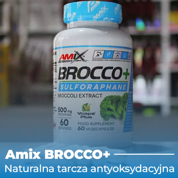 brocco-baner-2