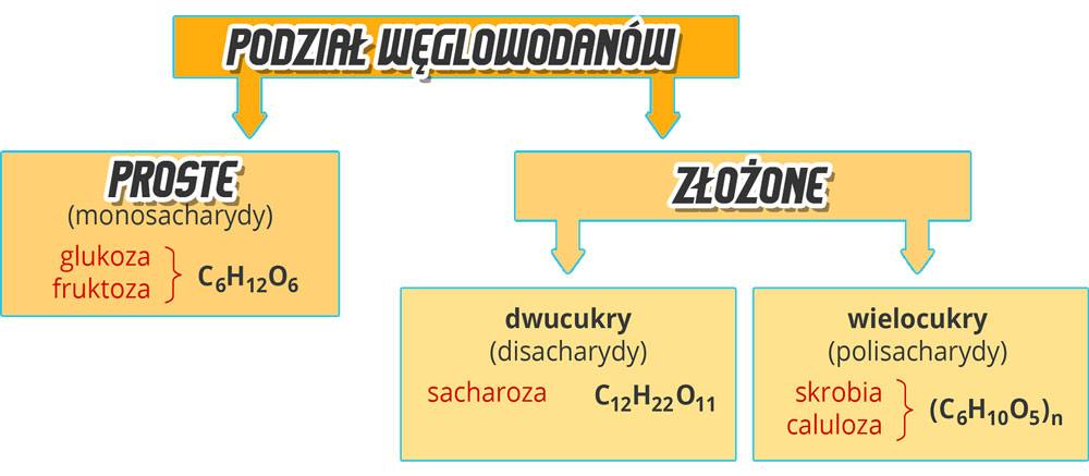 podział węglowodanów w diecie