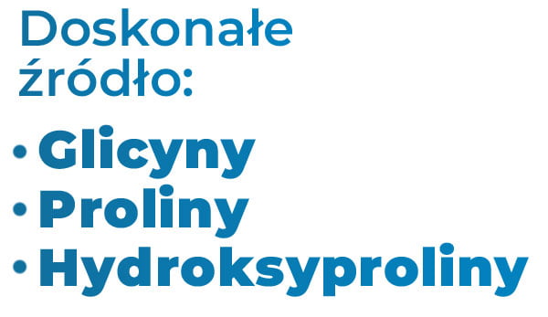 aminokwasy-w-kolagenie