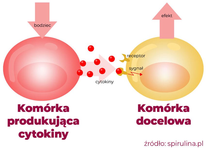 cytokiny-stan-apalany