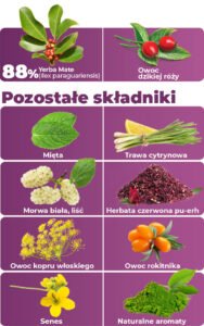 składniki-yerba-mate-na-odchudzanie