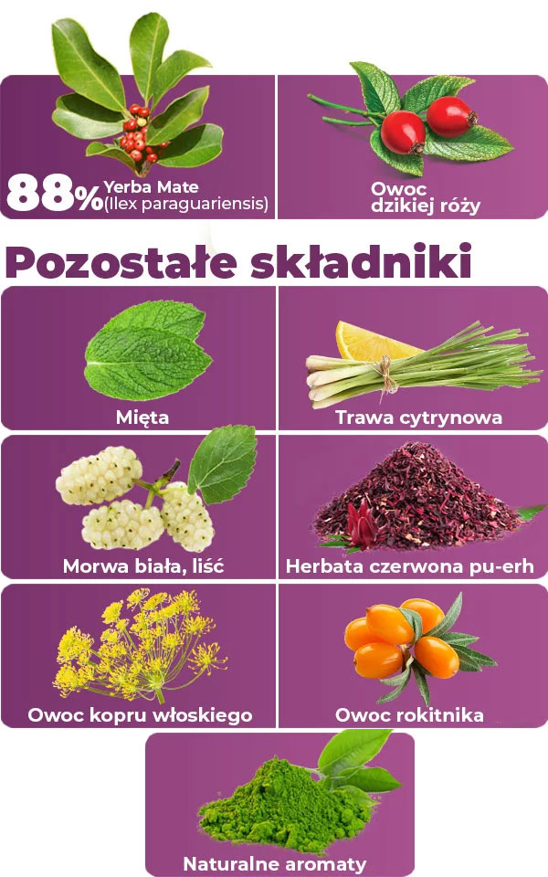 skladniki-yerba-mate-na-odchudzanie2