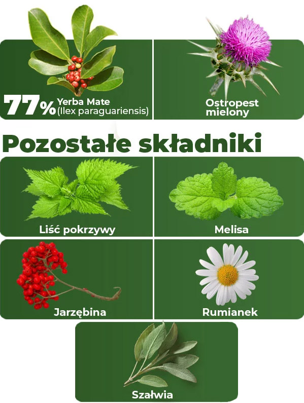yerba-detox-składniki-baner-2