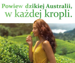 baner-drzewo-2