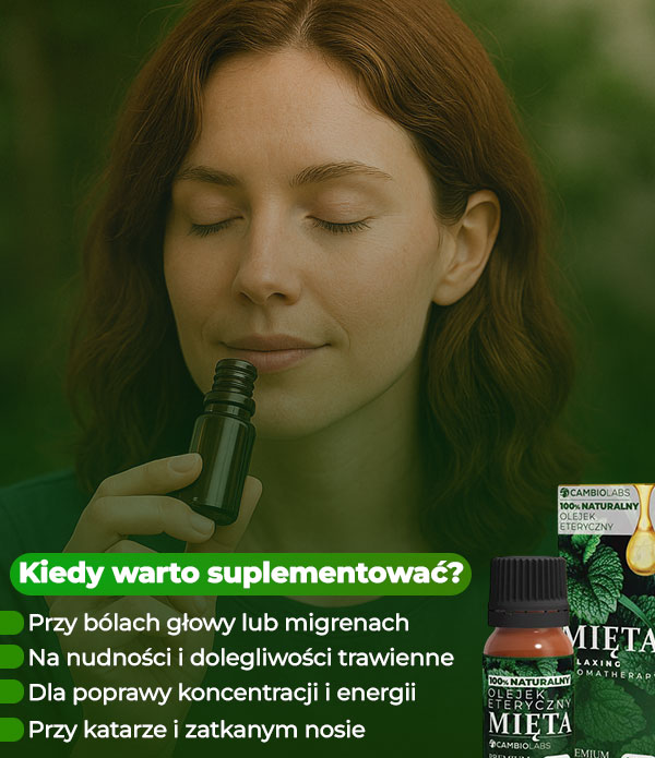 kiedy-warto-mieta