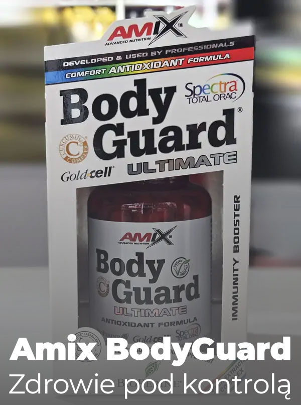 bodyguard-baner-inntro