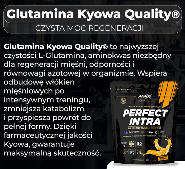 glutamina-kyowa-baner-perfect-intra