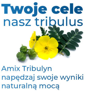 amix-tribulyn-40-baner-1