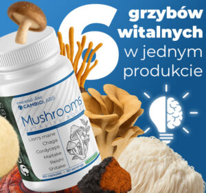grzyby-witalne-cambiolabs-mushroom-vitality
