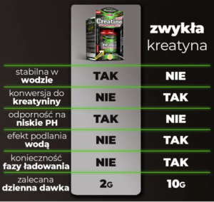 kreatyna-magne-porownanie