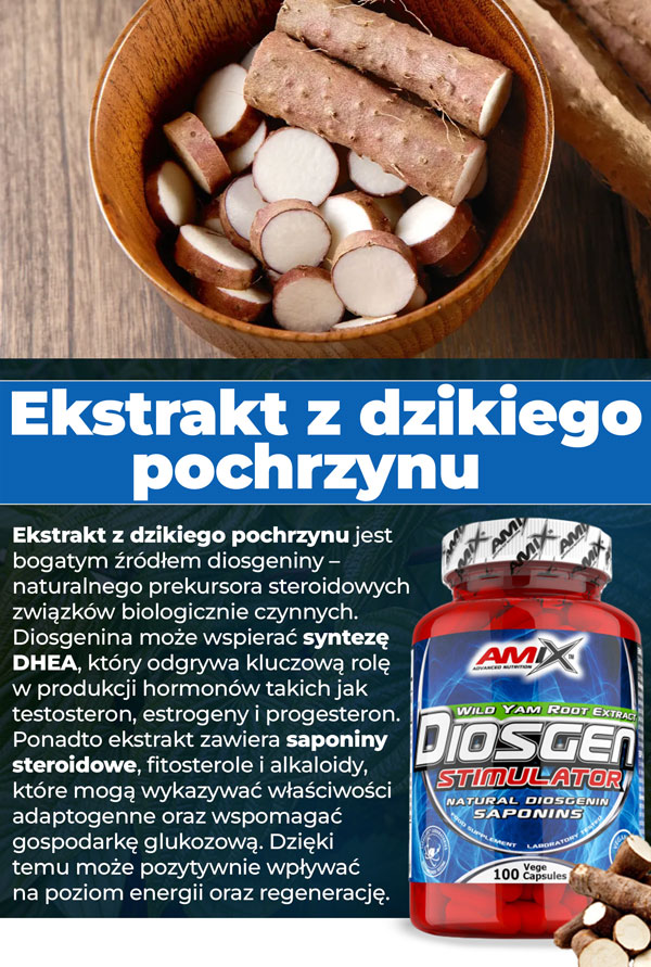 wild-yam-banner-info2