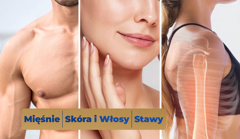 baner-premium-collagen
