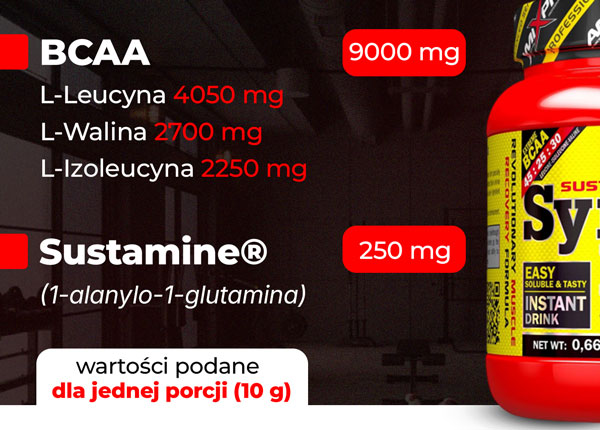 bcaa-synchro-skladniki-baner
