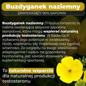buzdyganek-baner-info
