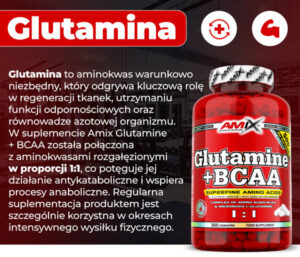glutamina-baner-info