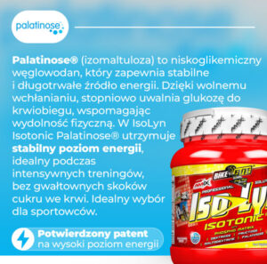palatinose-baner-isolyn-isto