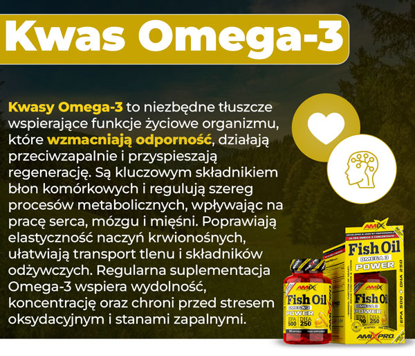 kwas-omega-3-baner-info