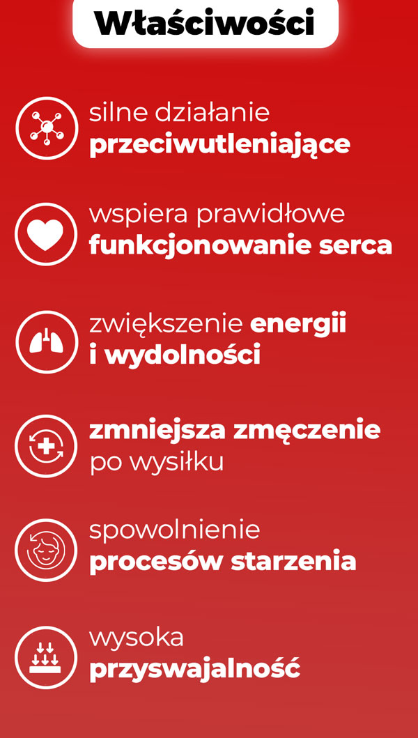 wlasciwosci-koenzym-q10