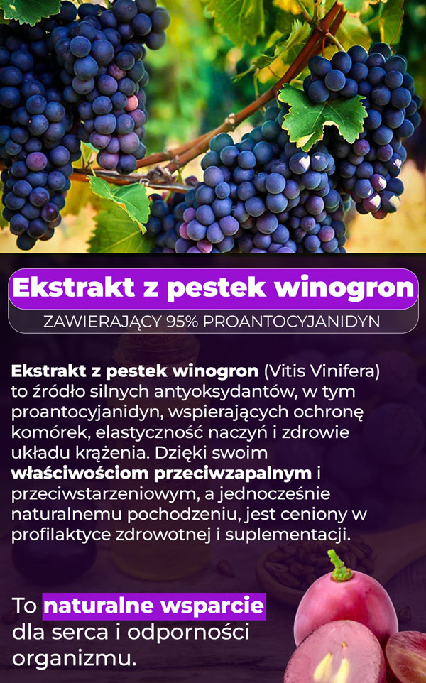 grape-seed-baner-infoo