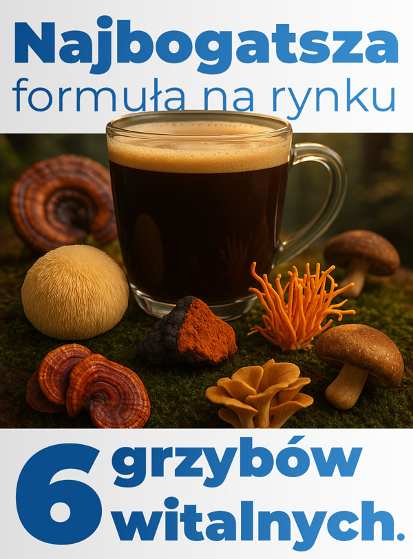 grzyby-witalne-kawa