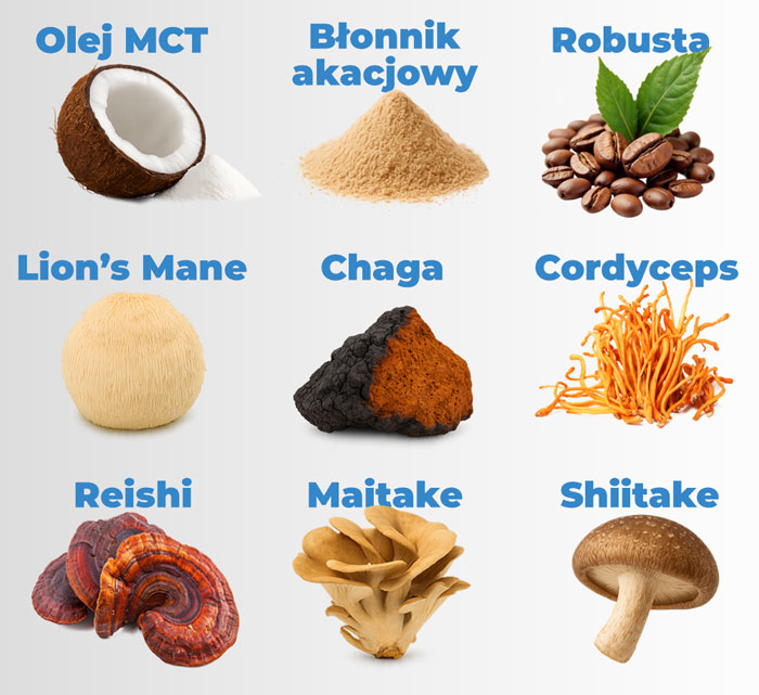 składniki-kawa-z-grzybami-cambiolabs