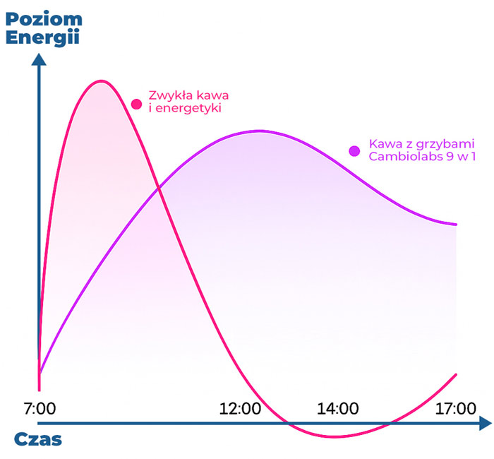 wykres-działanie-kawy-z-grzybami