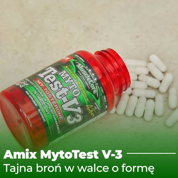 myto-test-baner-2