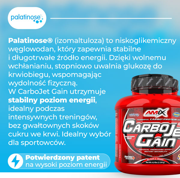 palatinose-baner-carbojet-gain