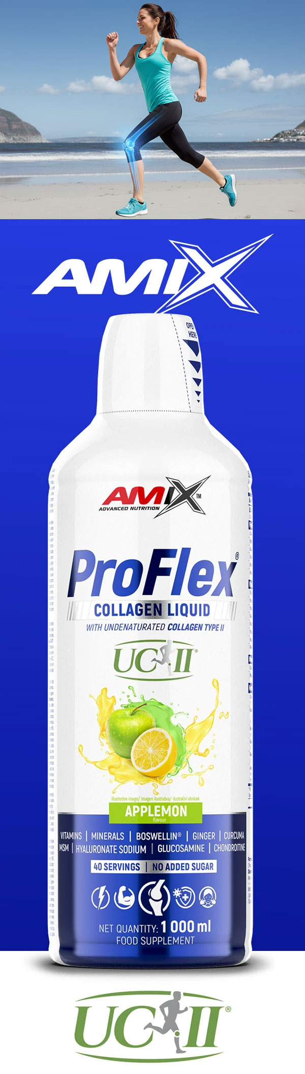 baner-maain-proflex