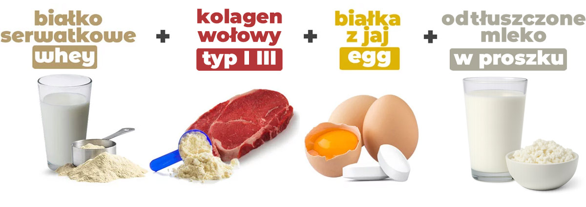 4-źródła-białka-odżywka-białkowa